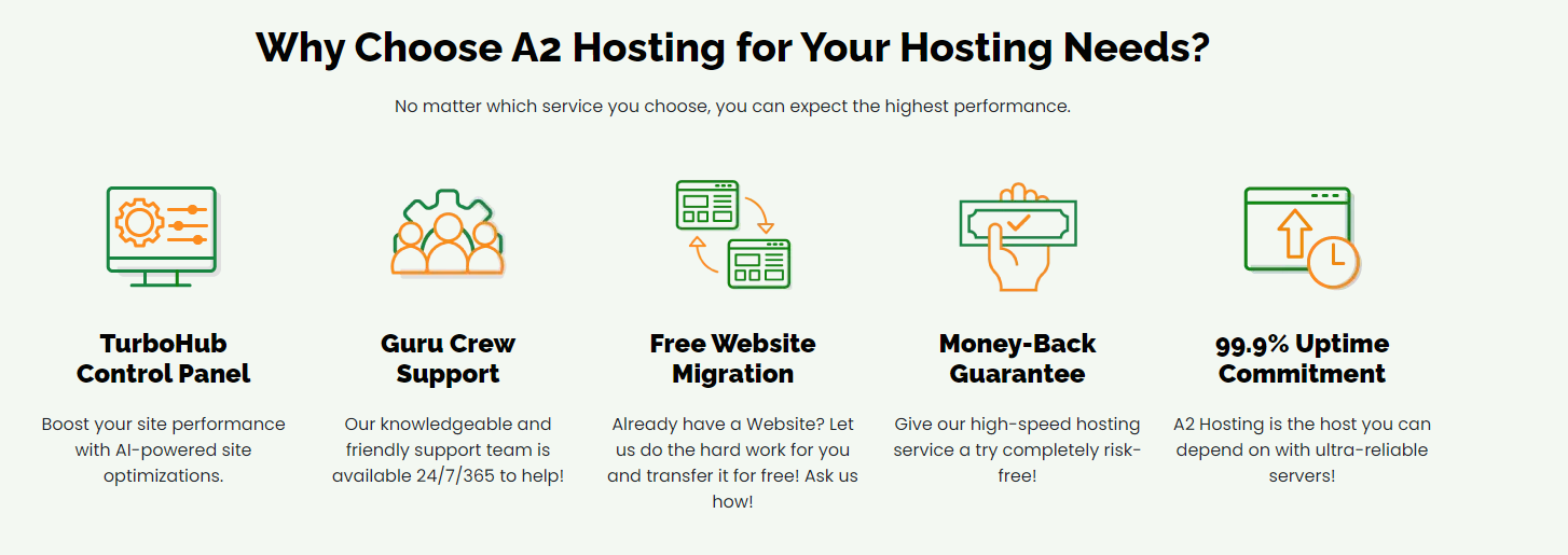 Final: New Zealand Web Hosting