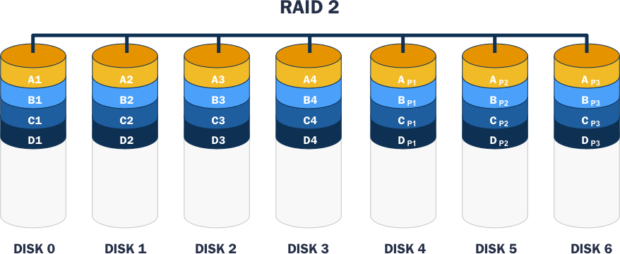 Diagram of a RAID 2 setup