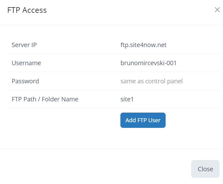 Screenshot of the FTP Access panel