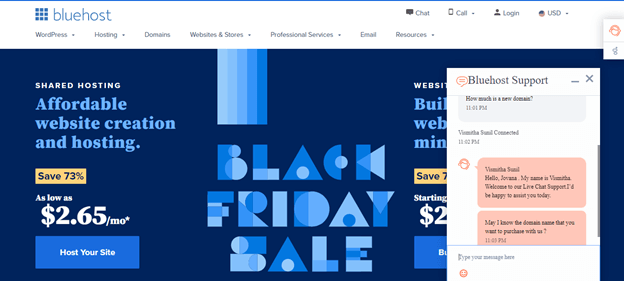 screenshot of Bluehost's live chat 