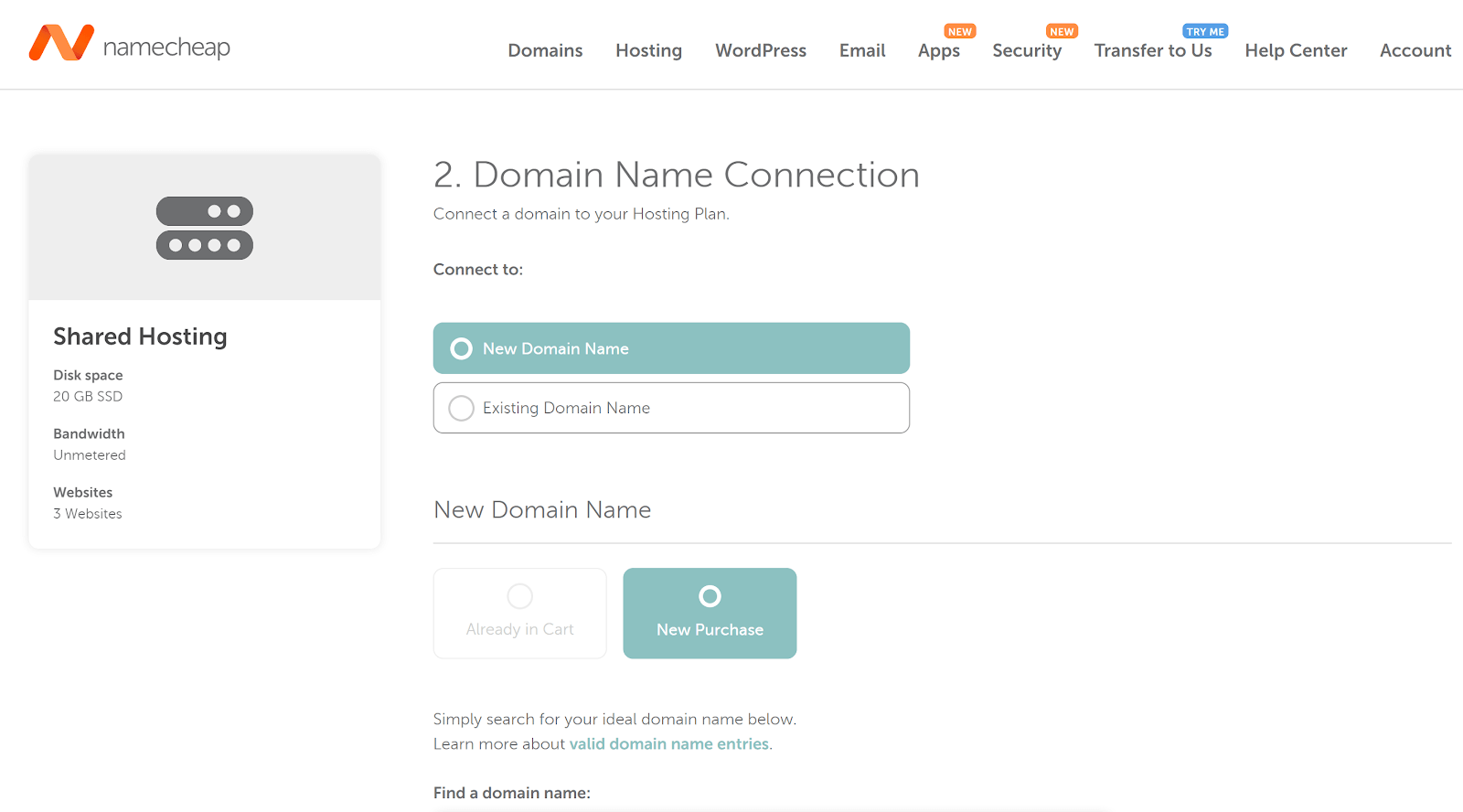 screenshot of domain hosting purchase and setup