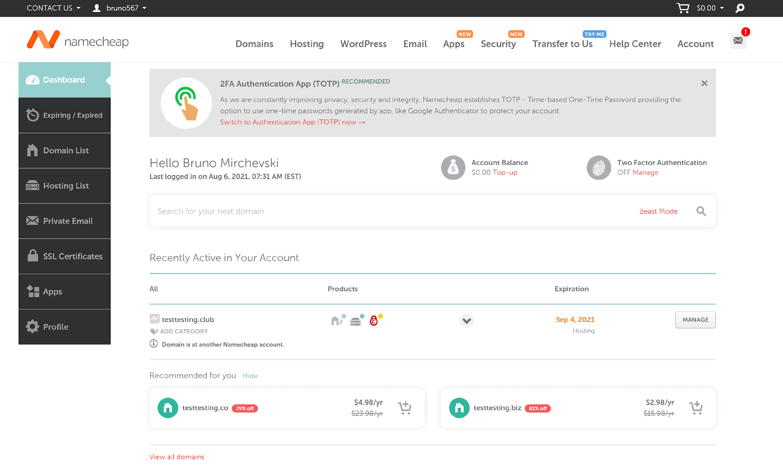 screenshot of domain hosting purchase and setup