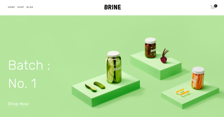 Screenshot of Brine template on Squarespace