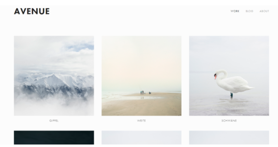 Screenshot of Avenue template on Squarespace