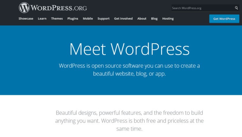 Final: The Pros and Cons of WordPress- Should You Use It Or Not