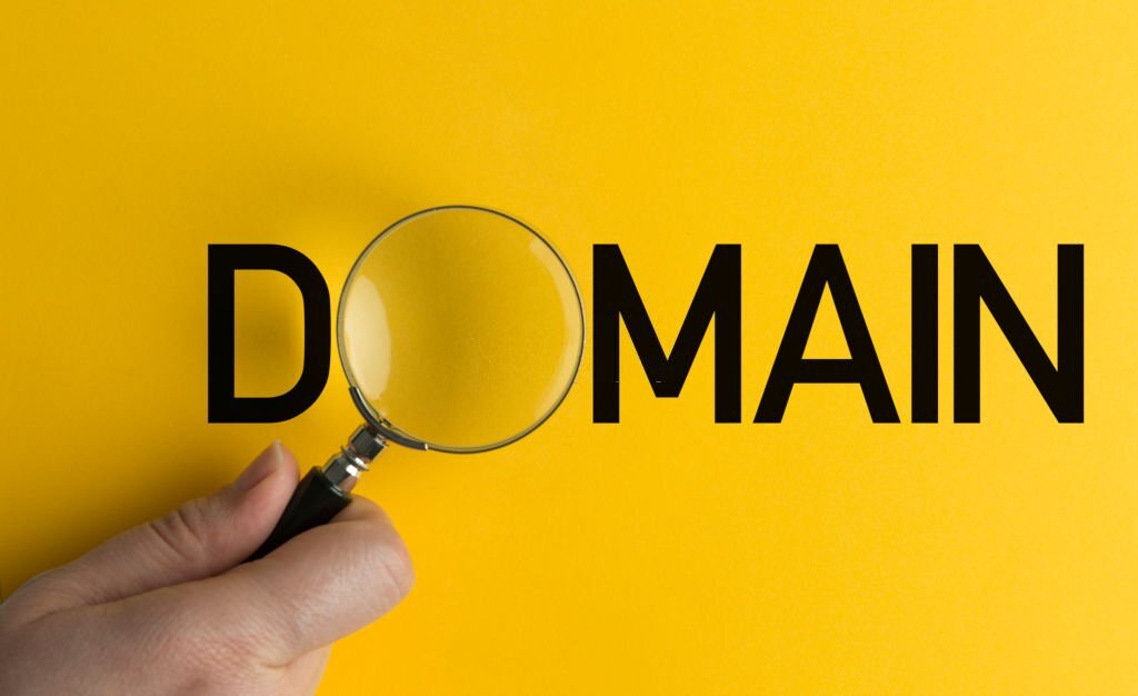 Final: Dropped Domain Names