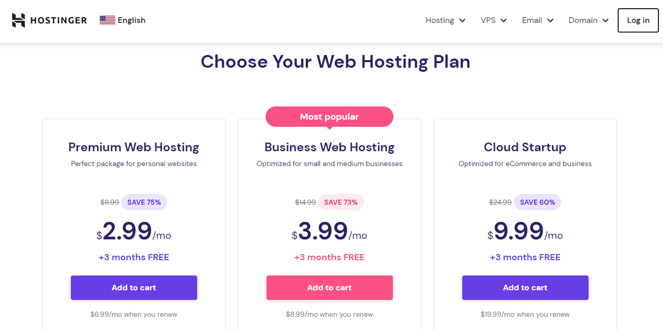 Final: Web Hosting in South Africa