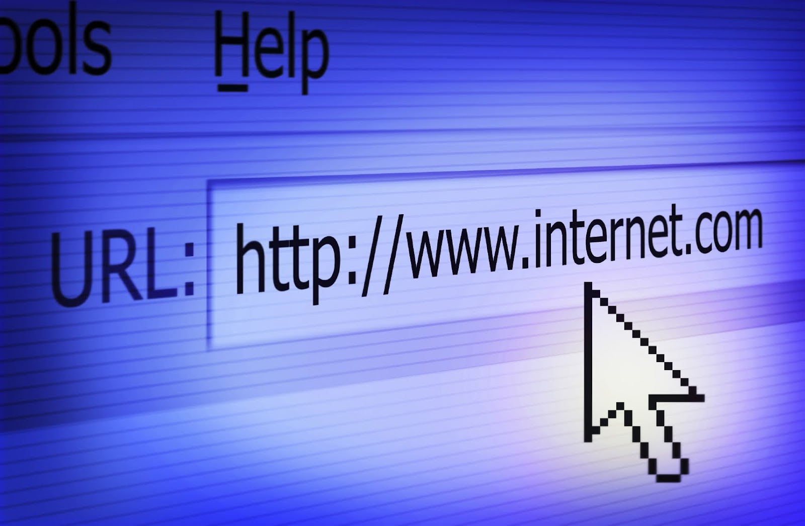 Final: Domain vs. URL: Definition and Key Differences