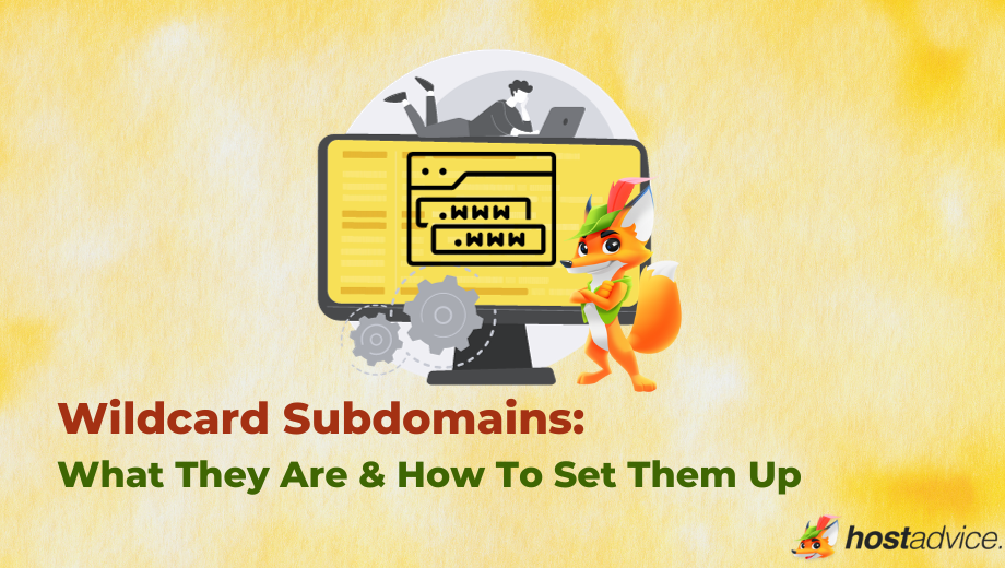 Wildcard Subdomains & How to Set Them Up - blog image