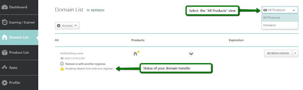 Final: How to transfer a domain name