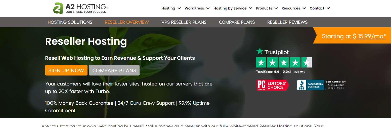 Final: Reseller Hosting in Bangladesh