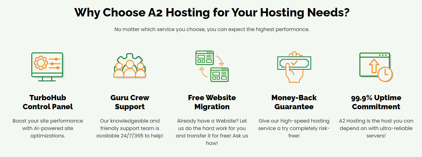 Final: Egypt Web Hosting