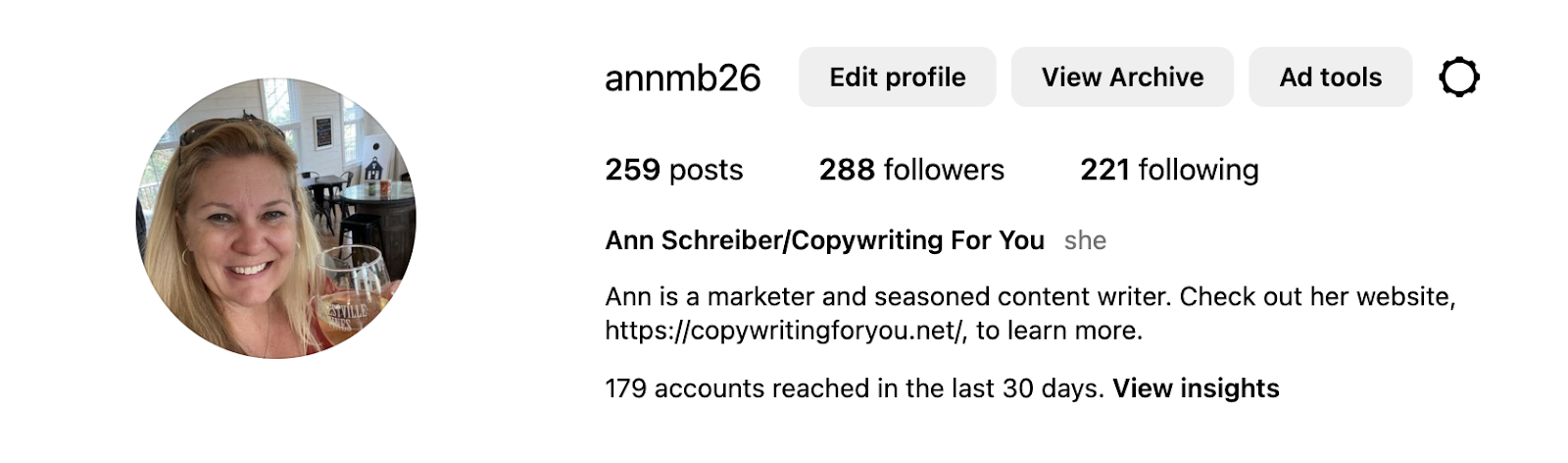 Screenshot from an Instagram account for Ann Schreiber/ Copywriting For You.