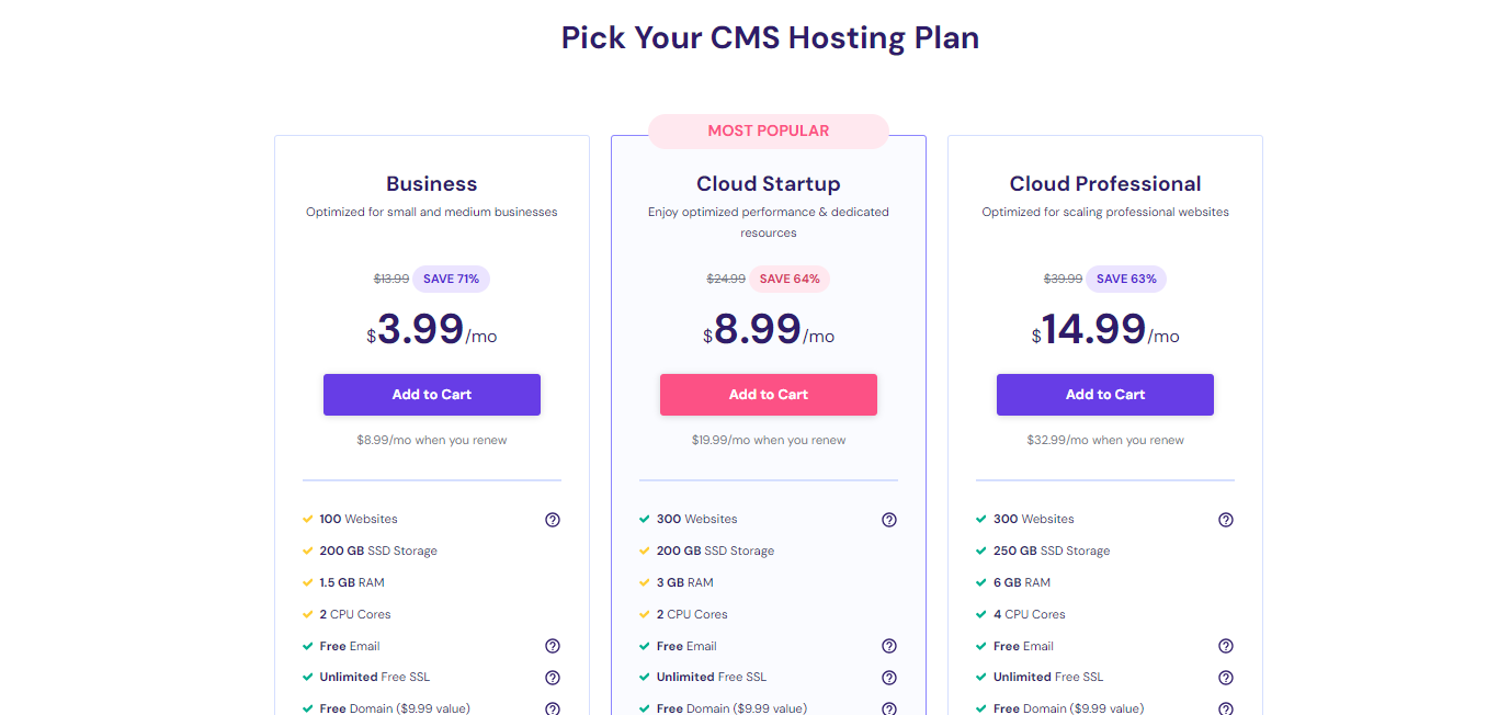 CMS Hosting