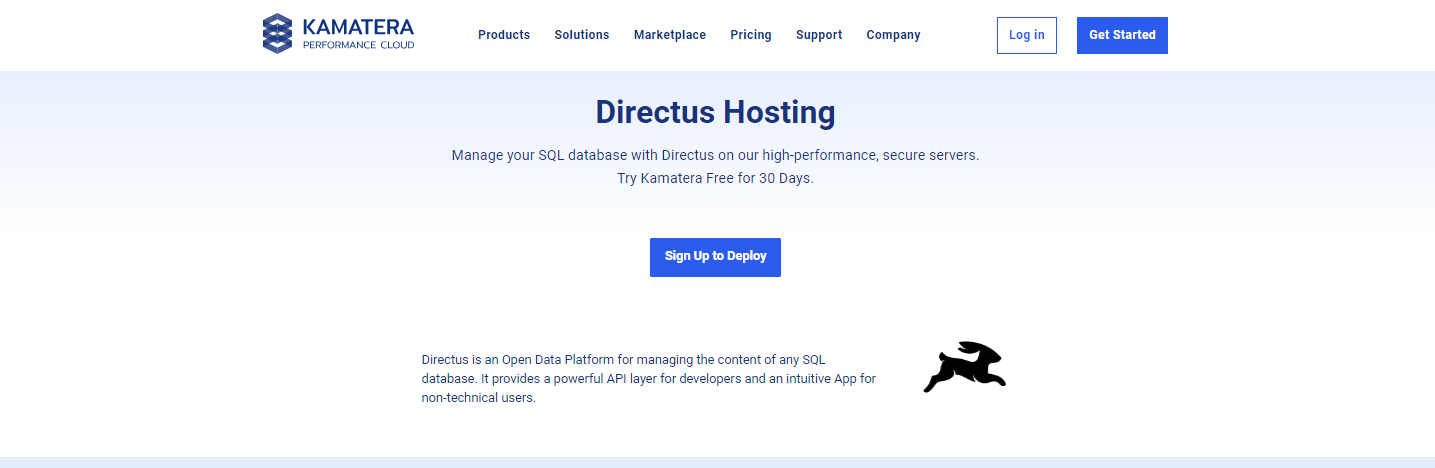 Directus Hosting