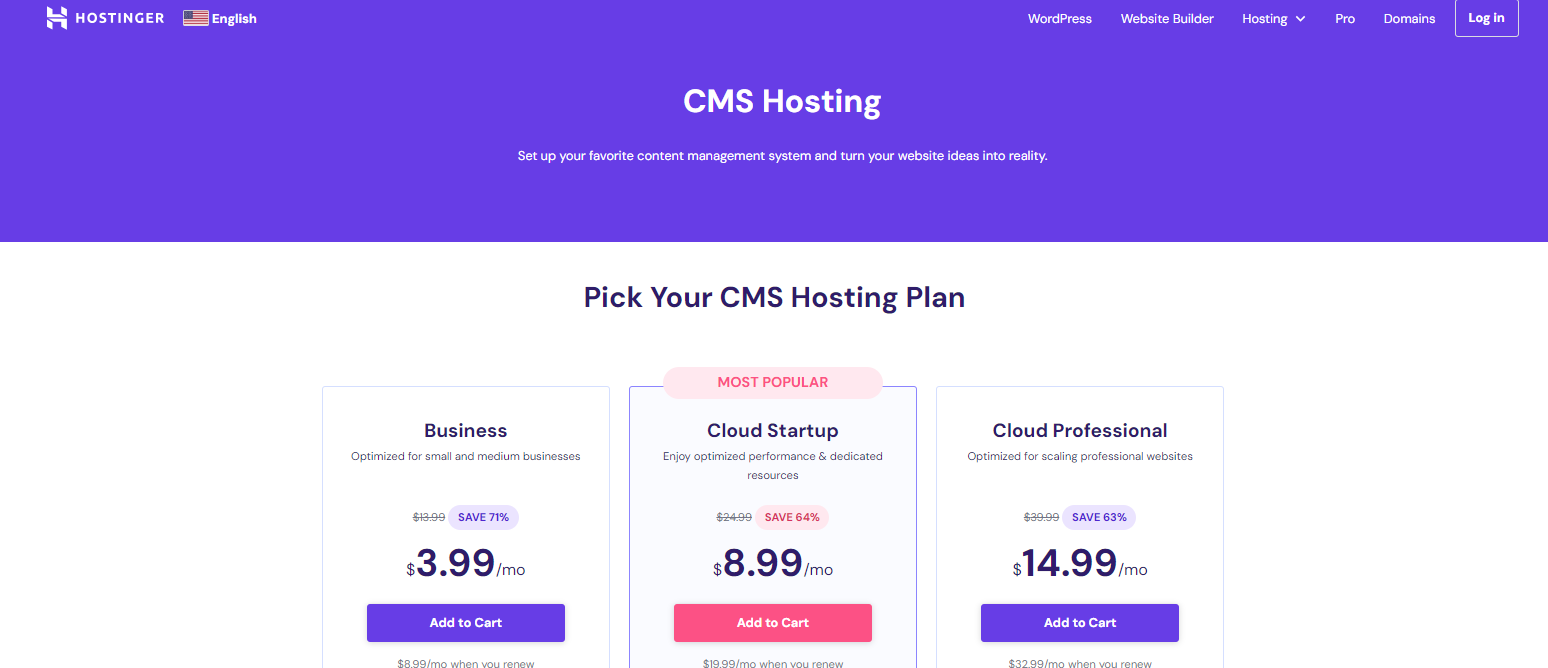 Strapi Hosting